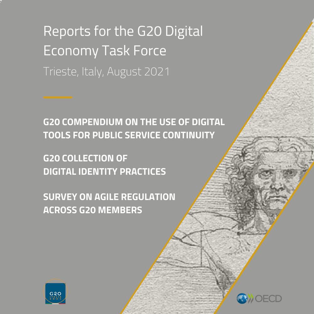 Reports for the G20 Digital Economy Task Force