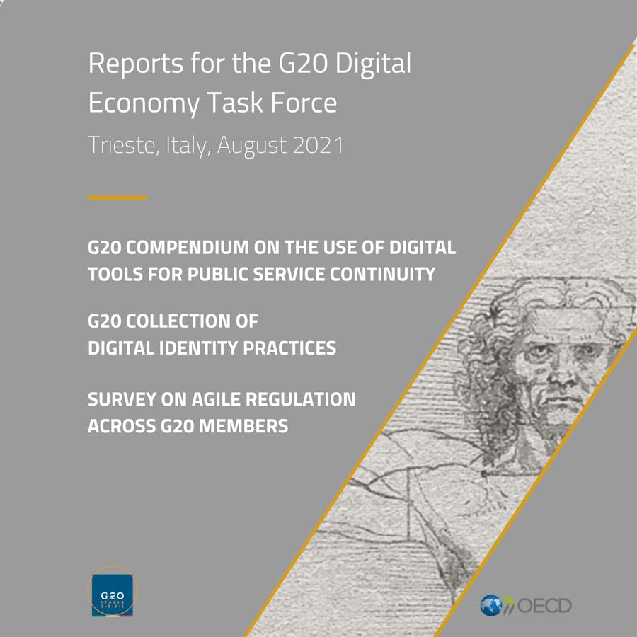 Reports for the G20 Digital Economy Task Force
